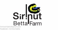 Sirinut betta farm
